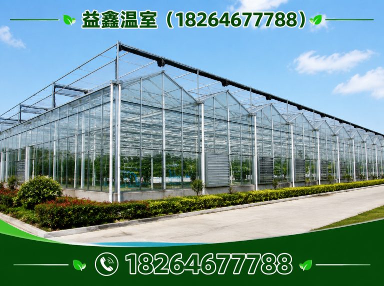 潍坊智能温室大棚展示图